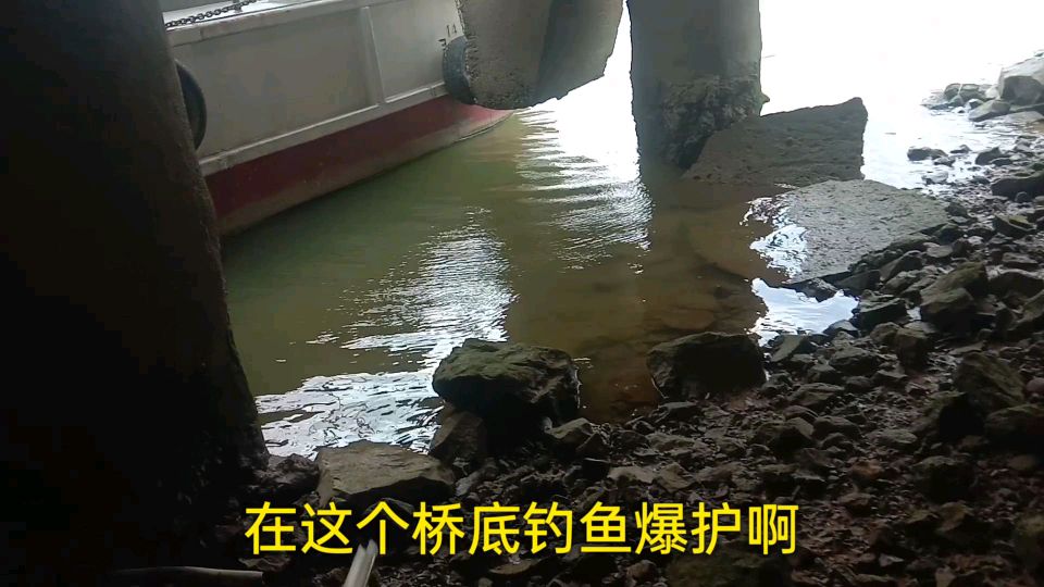 视频中透露了东江鱼窝位置,结果惨遭网工破坏,现场全是死土鲮