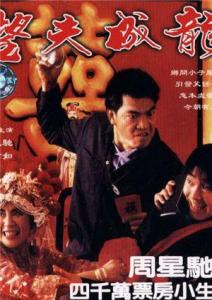 望夫成龙