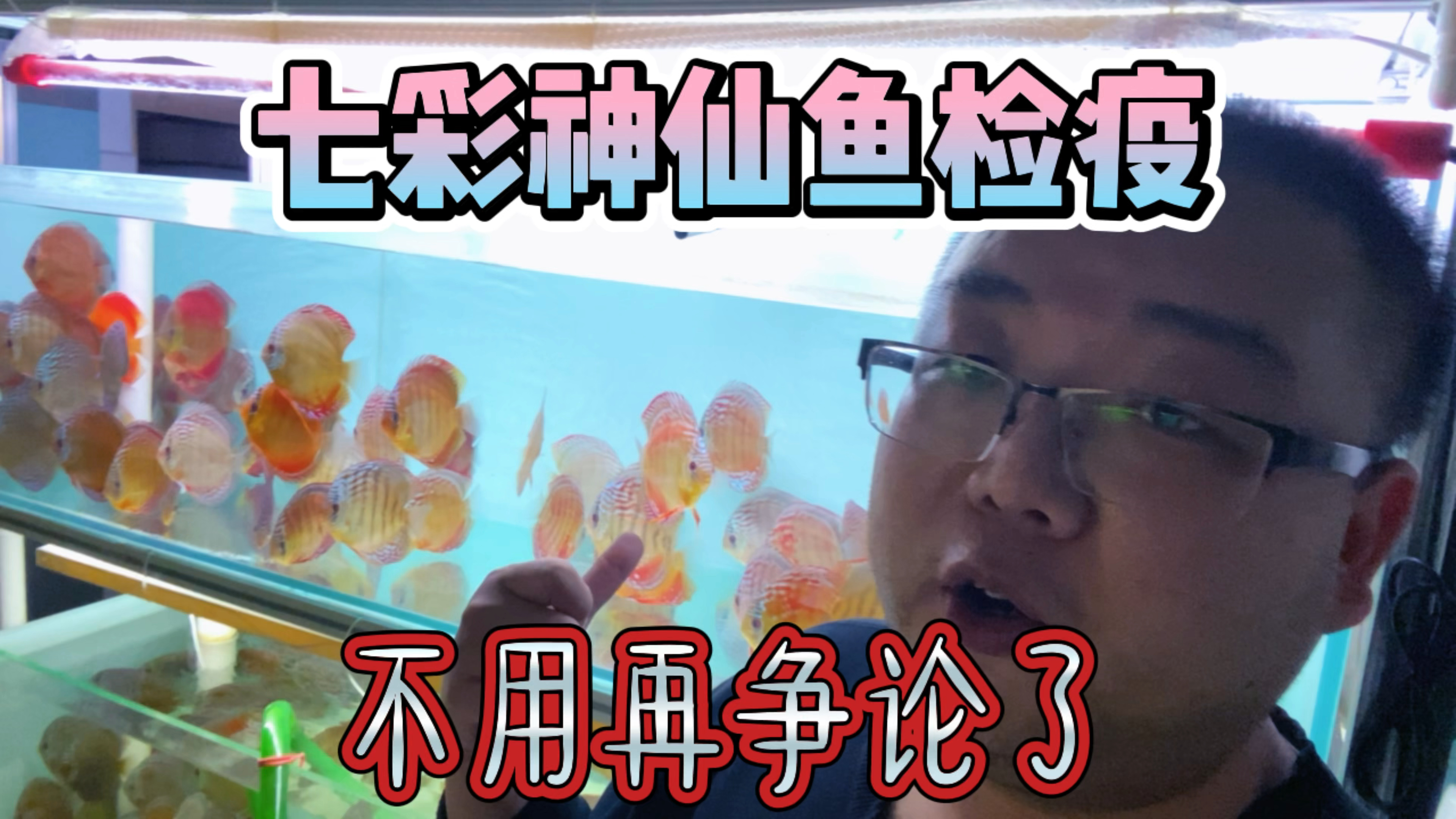 关于七彩神仙鱼检疫的问题,一直是一个争论不休的话题。要看密度
