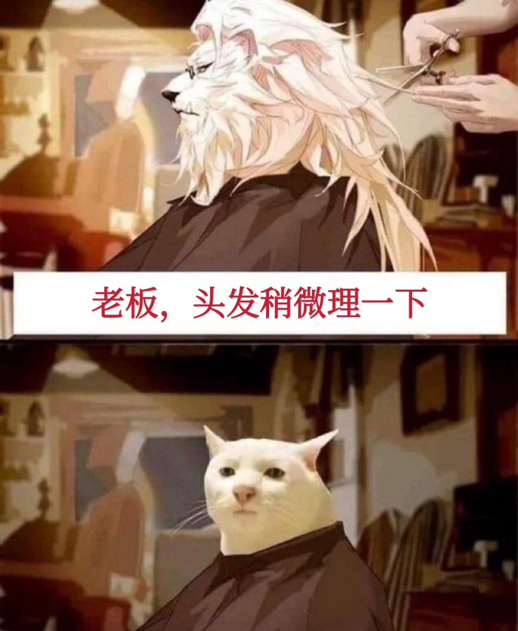 老板,稍微理一下昂[二哈]#托尼老师# #理发# #搞笑