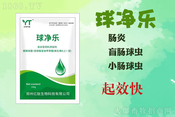 鸡球虫用什么药治疗,鸡球虫特效药,球净乐(专利产品)