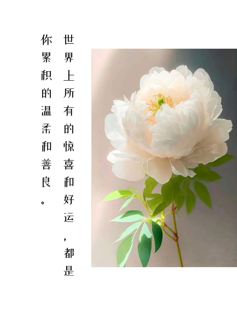 世界上所有的惊喜和好运,都是你积累的温柔和善良.