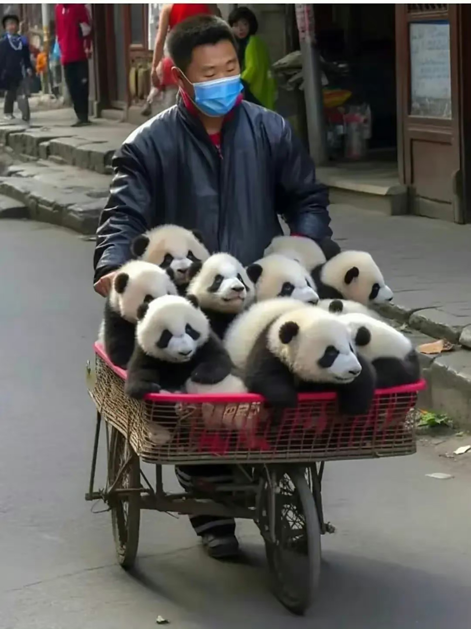 四川人是不是人均一只大熊猫94?