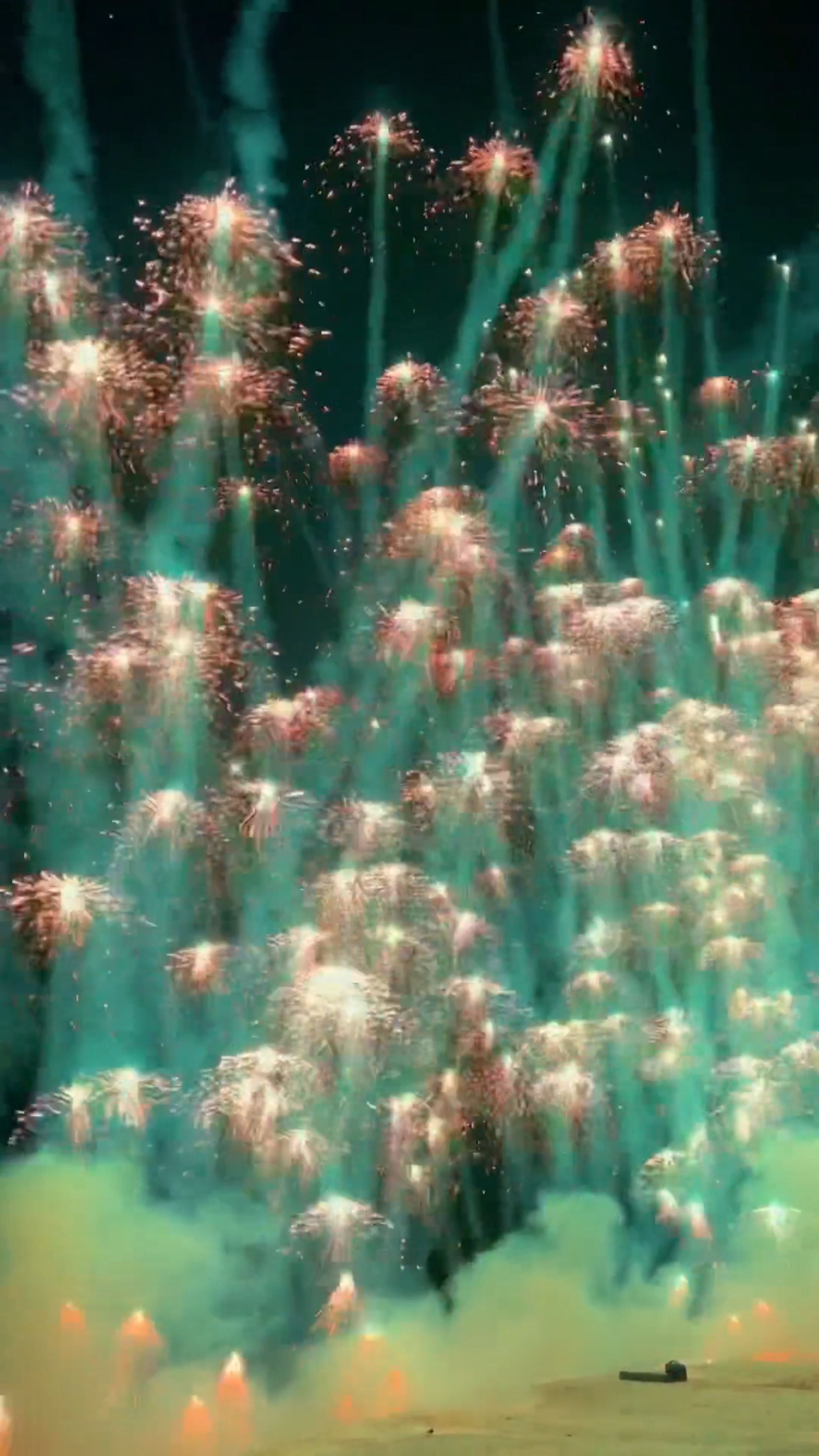 海月水母烟花图片