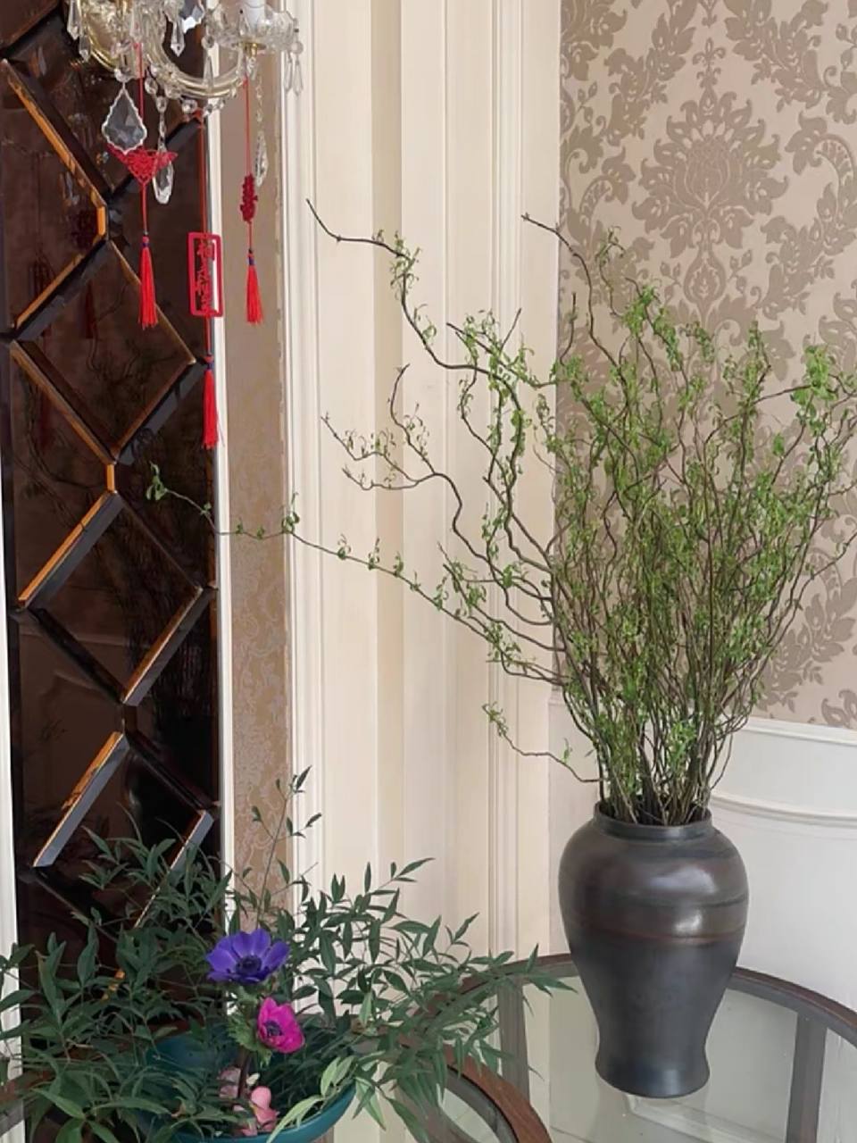 龙柳95养护注意事项6015 水培植物97龙柳是一