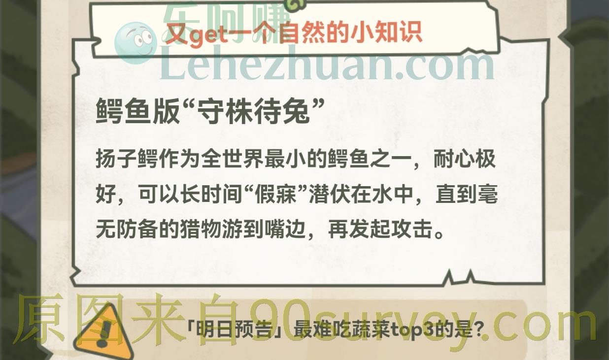 大胃王扬子鳄为了多吃东西常用来迷惑猎物的方式是假寐。 大胃王扬子鳄为了多吃东西常用来迷惑猎物的方式是假寐。