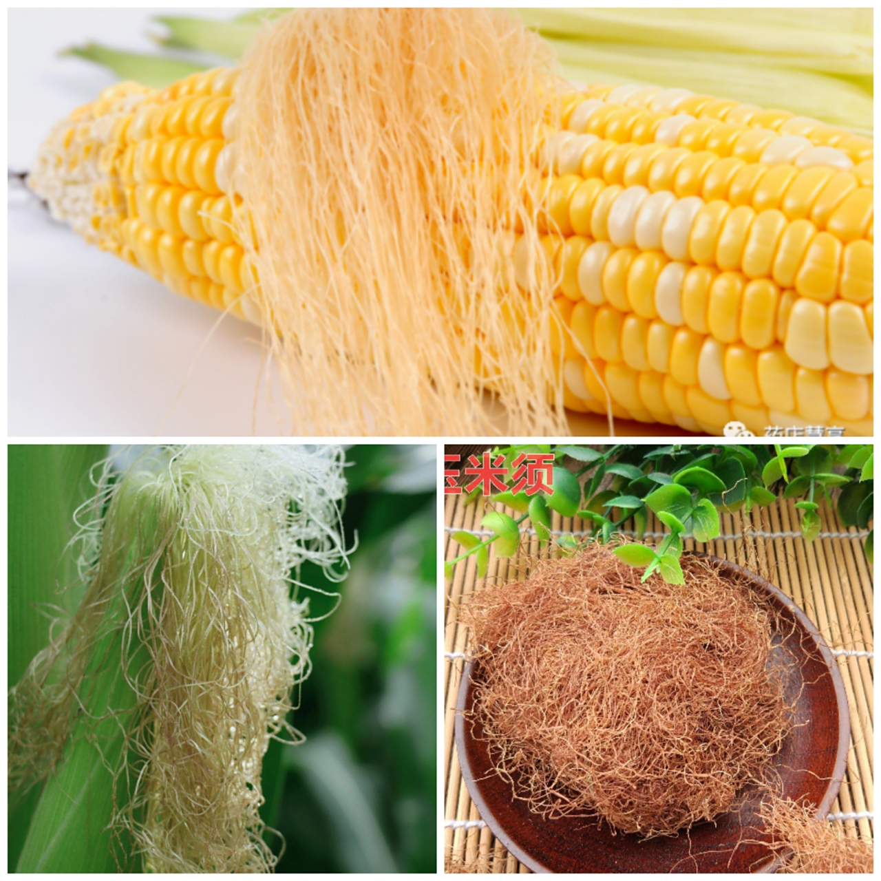 早安北鼻     玉米须的功效与作用 清热解毒,预防心脑血管疾病  玉米