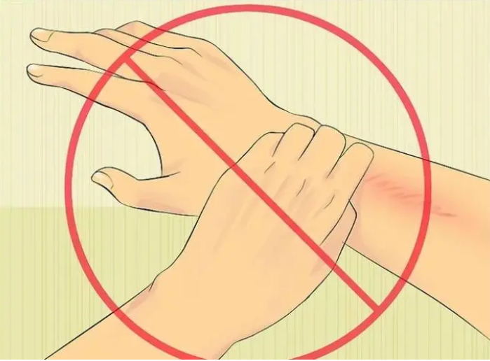 原来螨虫最大天敌不是暴晒房间内摆点它除螨效果好