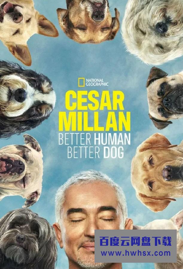 [Cesar Millan: Better Human Better Dog 第一季][全集]4K|1080P高清百度网盘