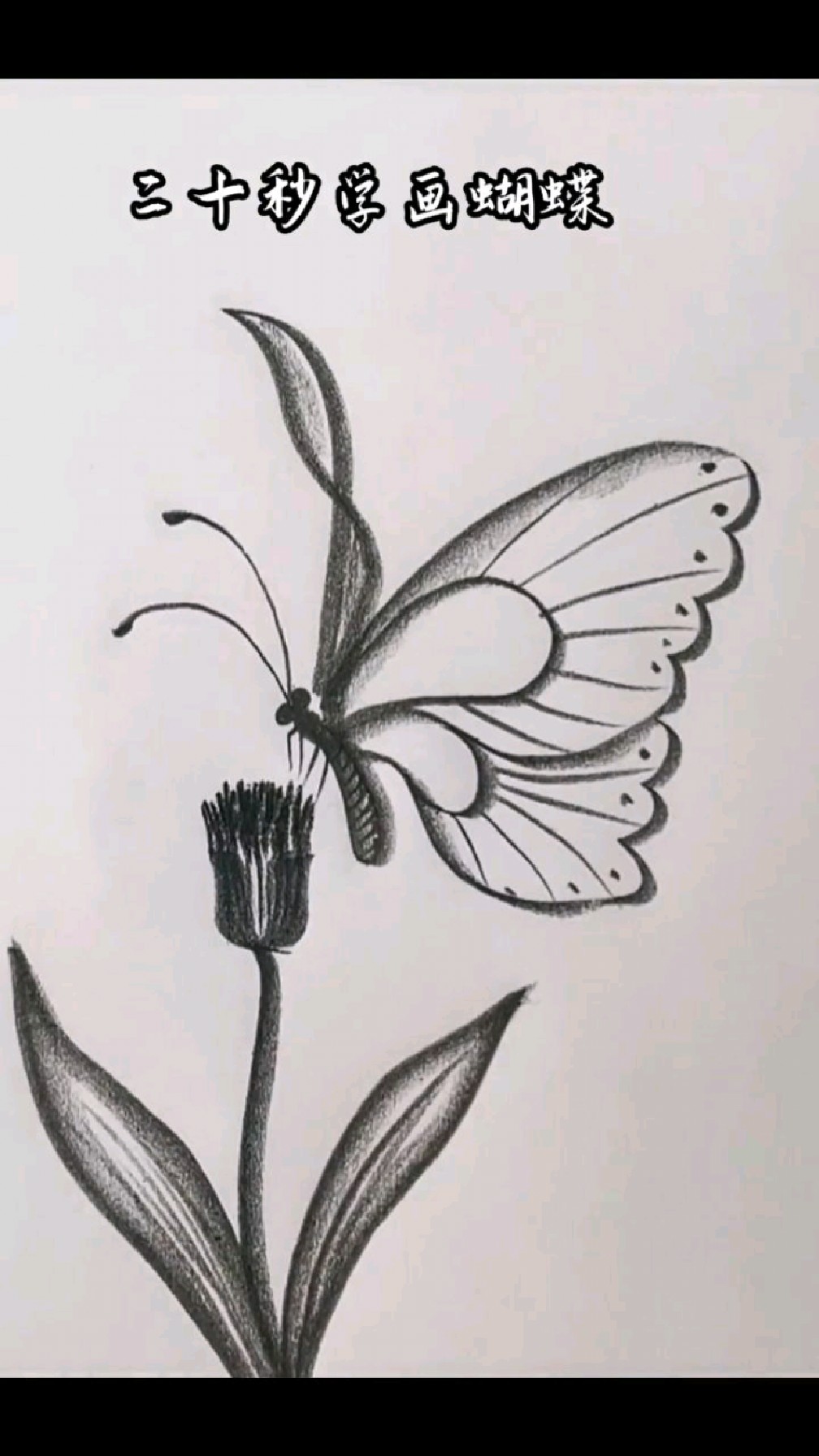 二十秒简单教你画蝴蝶# 炭笔画 # 一起学画画