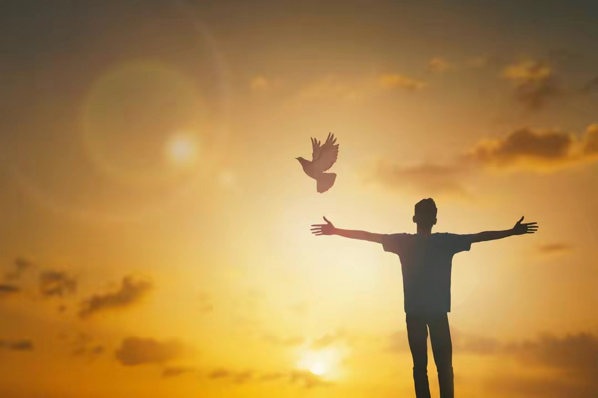 早上起来,拥抱太阳98