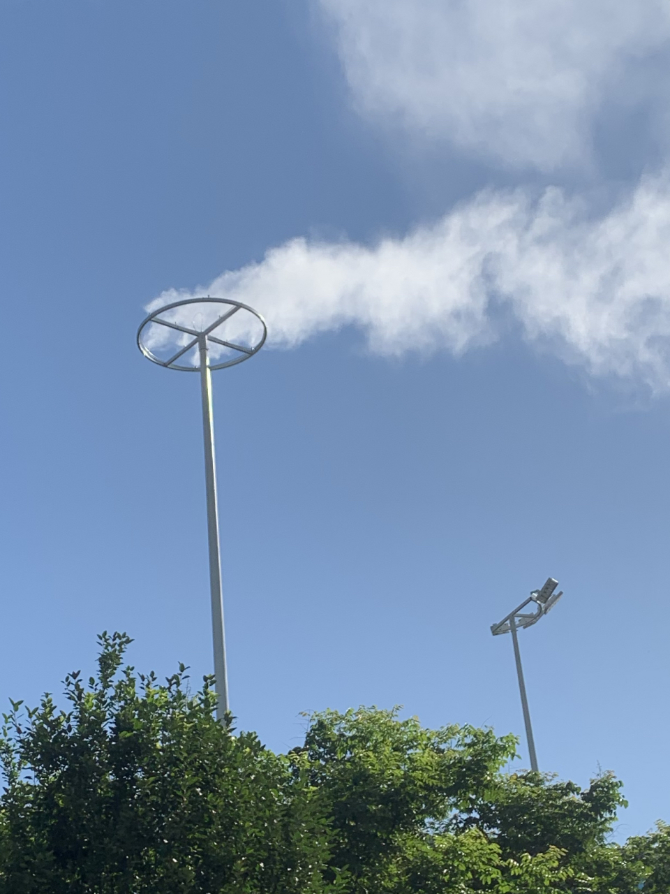 今天看到很久没来的路边装了很多这个,有知道这个圆环是干嘛的吗?