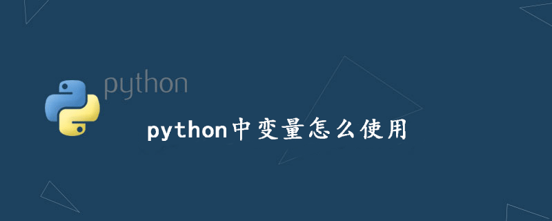 如何在python中使用变量