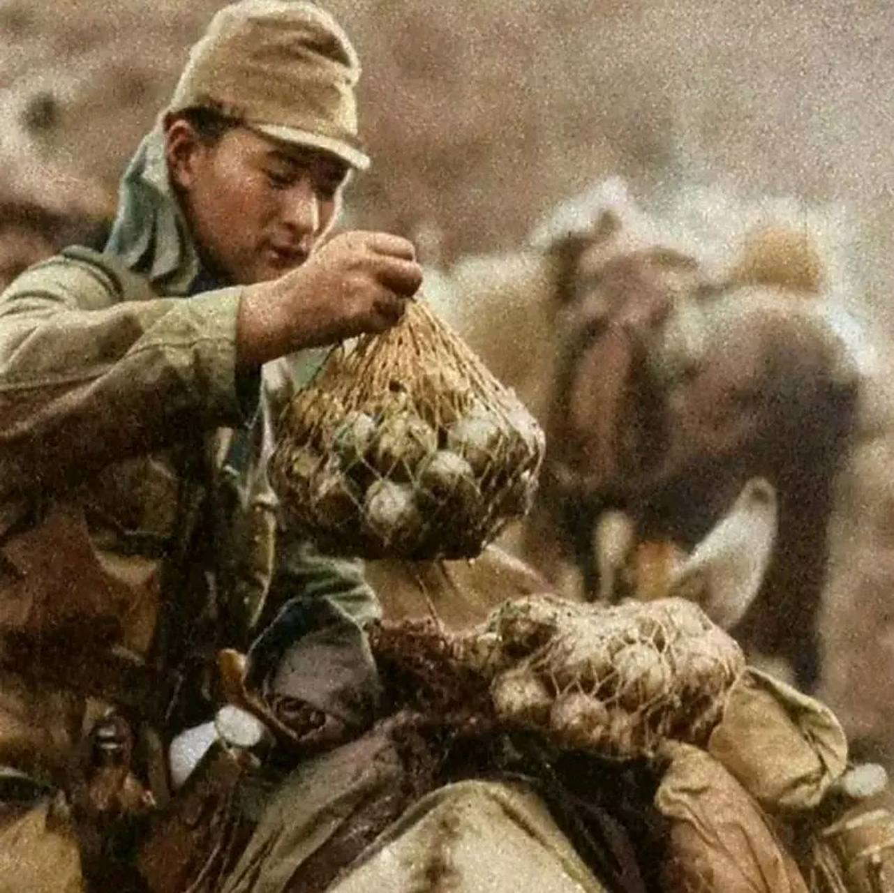 日本从中国抢走的财富令人深思,从1931年日本入侵中国开始,一直到1945