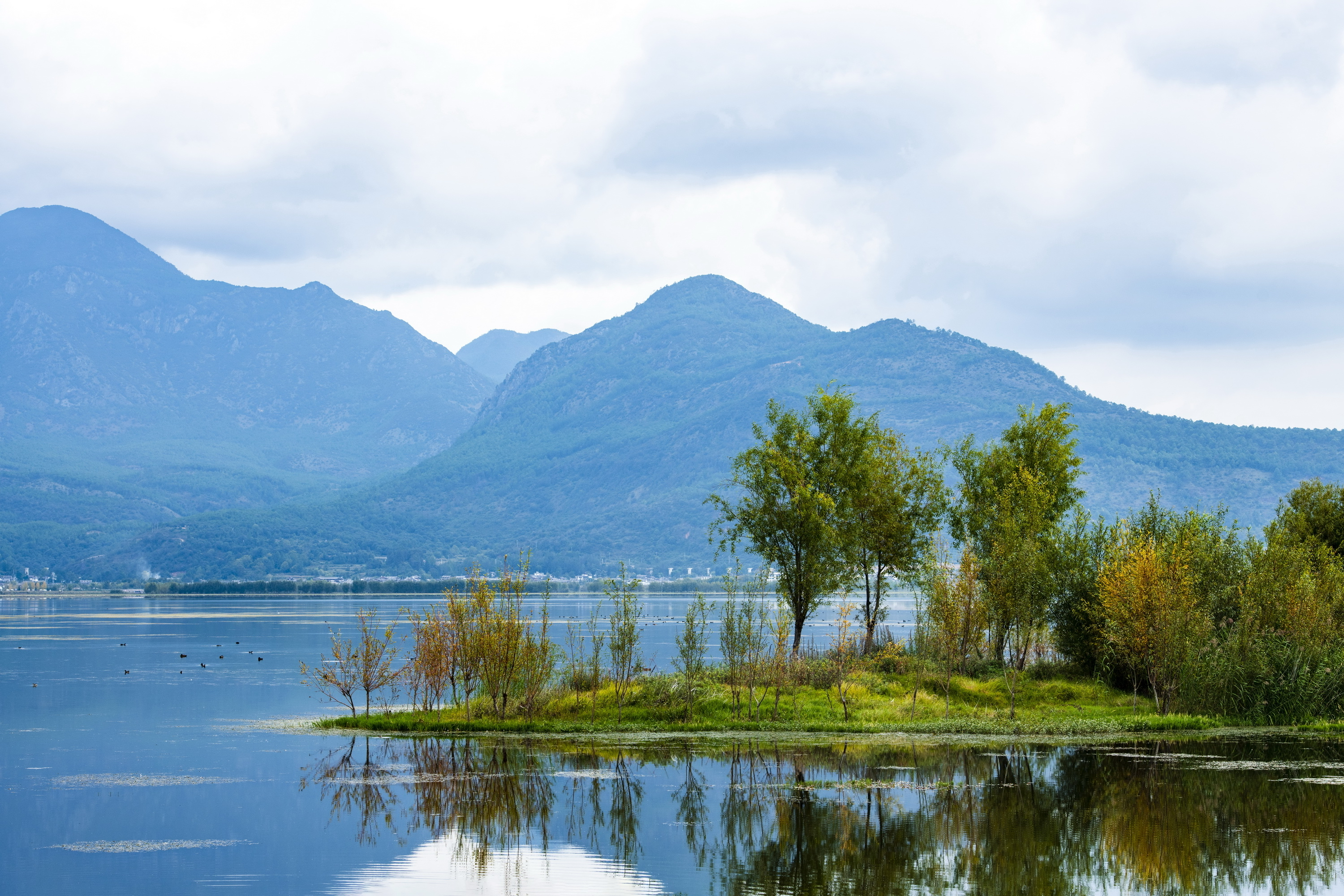 每一件物品都有它存在的理由