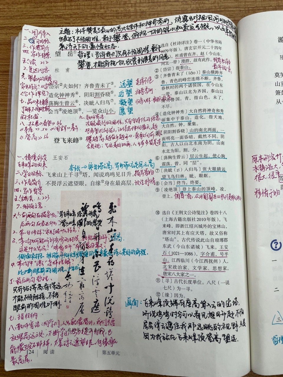 语文老师为《望岳》和《登飞来峰》做的备课笔记,两首诗不到70个字