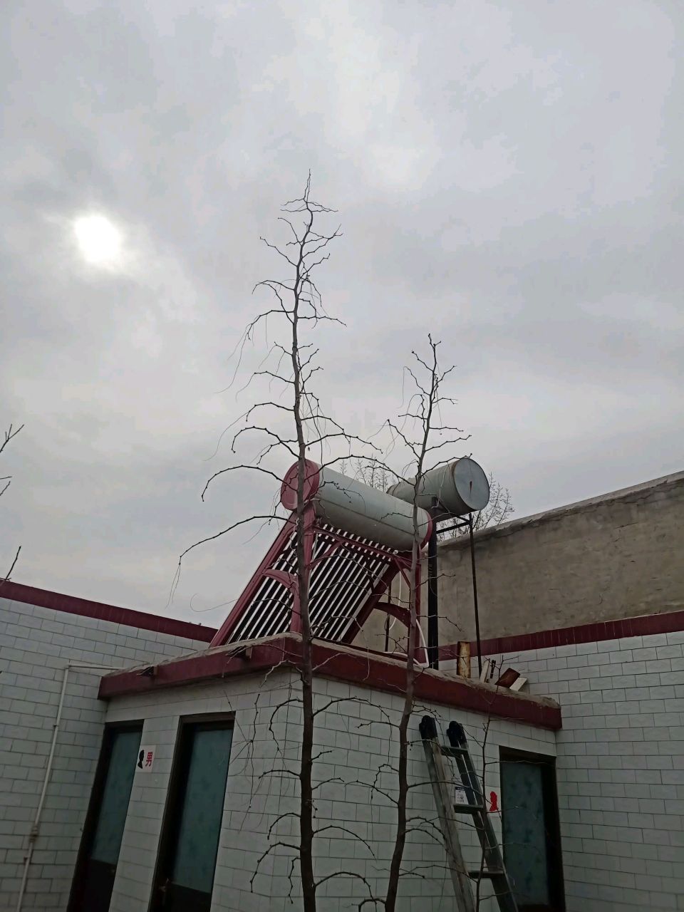 我是服了,为了这中雨,暴雨,大雨,我是物资准备上了,什么粮食蔬菜都