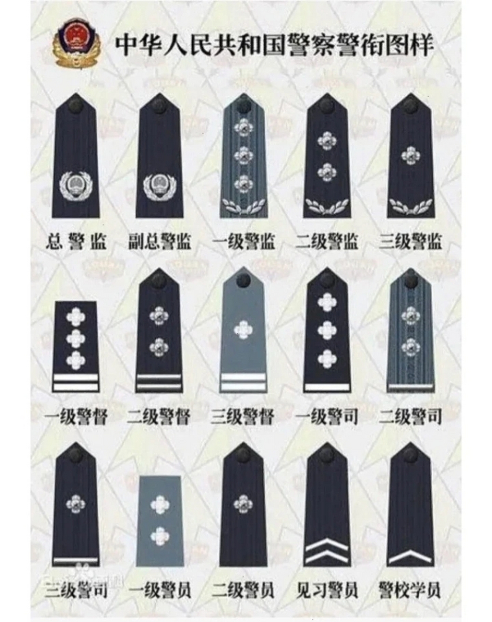 台湾警衔等级与职位图图片