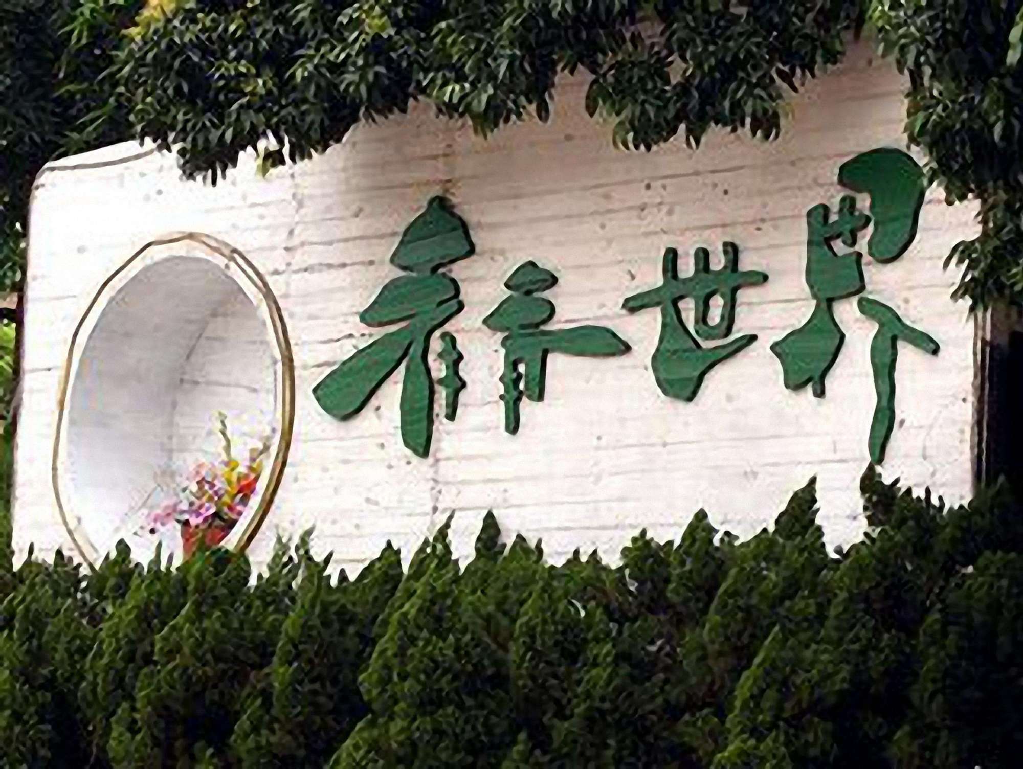 游深圳青青世界,感受"热带雨林"的奇妙