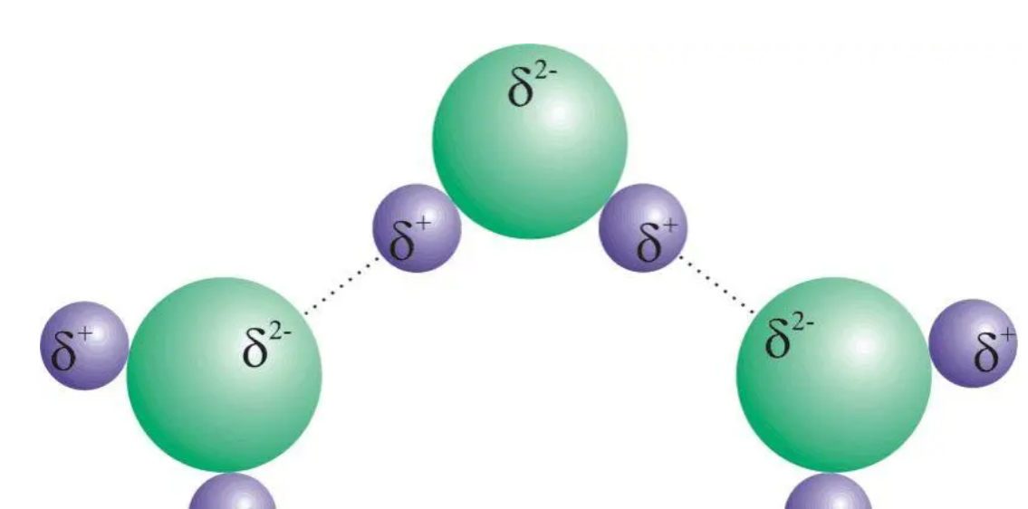极性分子是什么