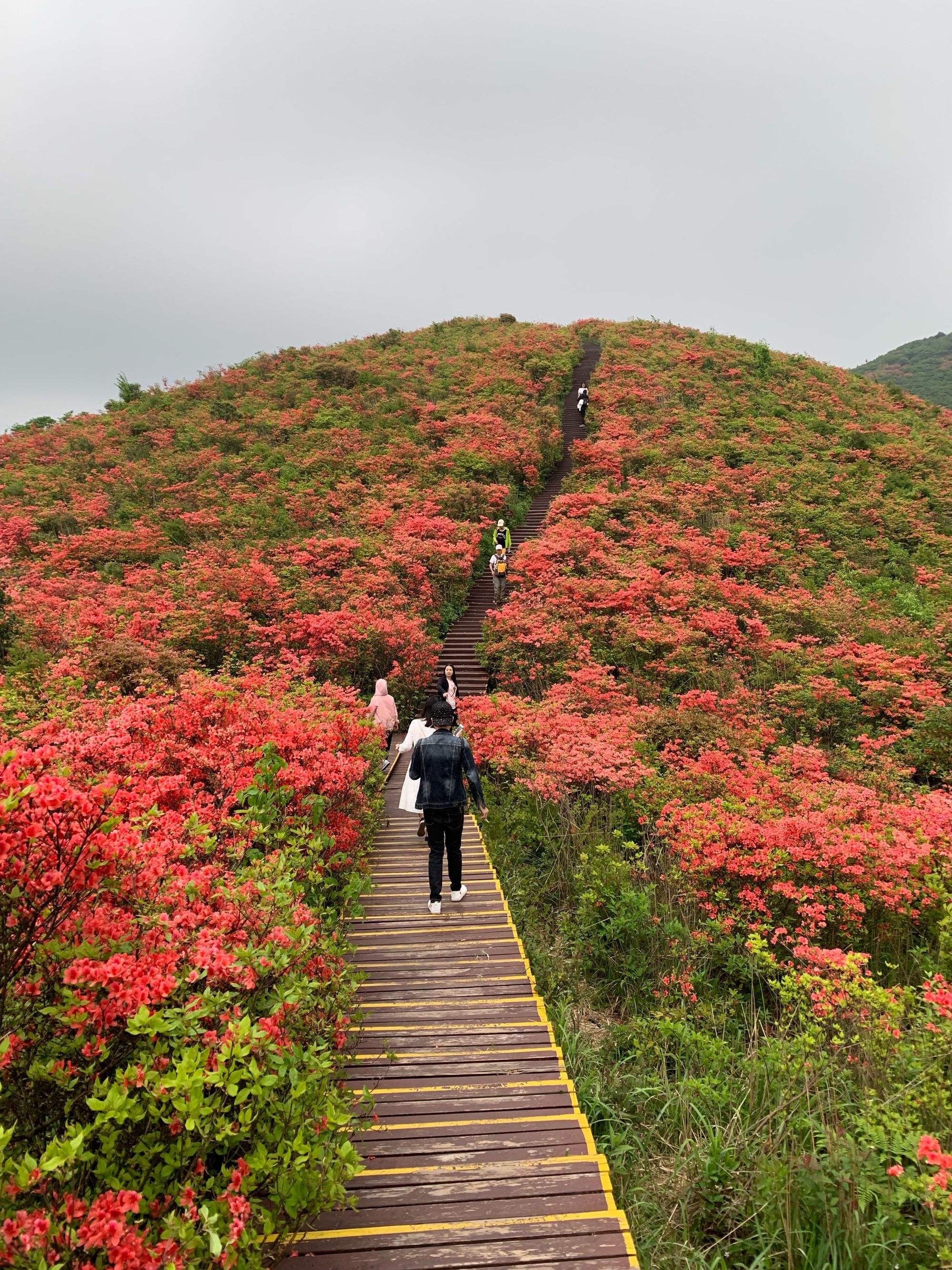 攀枝花市景点简介图片