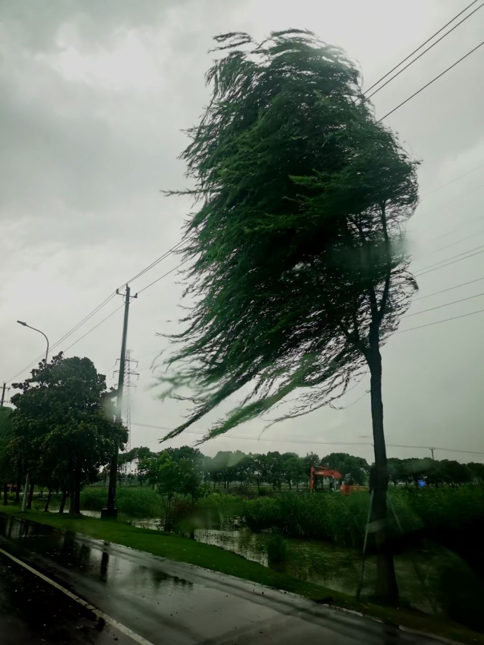 风吹乱了我的头发
