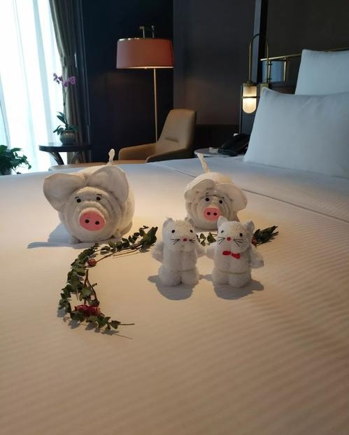 毛巾叠小动物,酒店服务员的手也太巧了