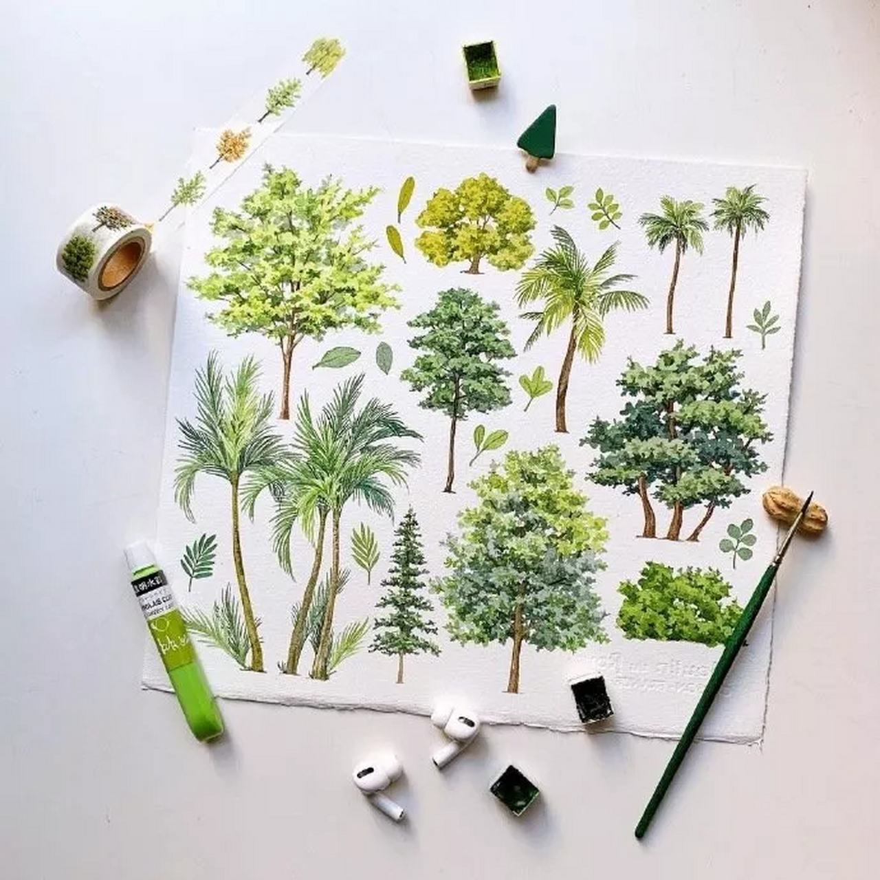 小清新水彩绿植,画师yirang kim