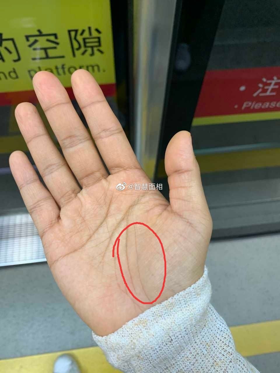 一个人如果有两条生命线是什么意思呢?