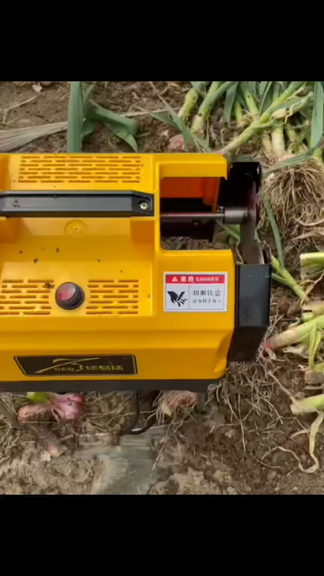 2022新款大蒜切胡机 大蒜去杆机