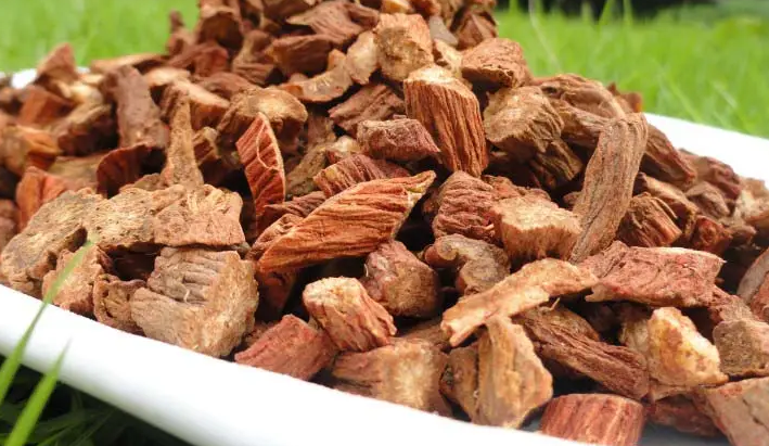 丹参的"好搭档"是什么?坚持喝,或有助预防心脑血管疾病