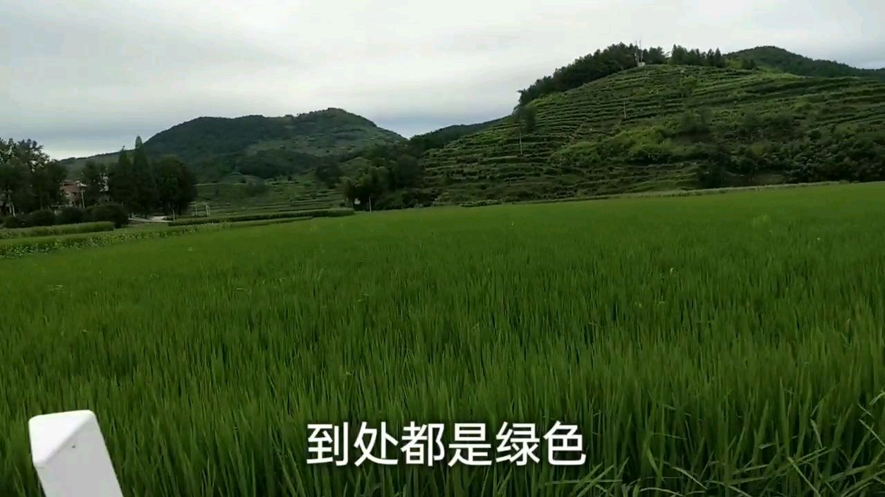 [图]青山远黛,白云自流,房子依山而傍