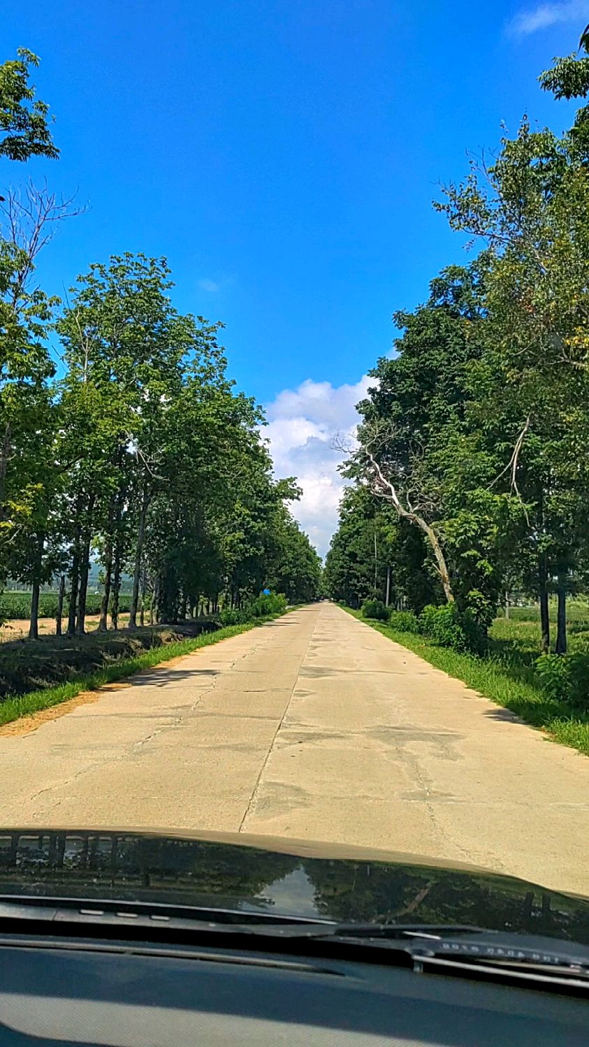 新华农场,乡间小路,美景如画