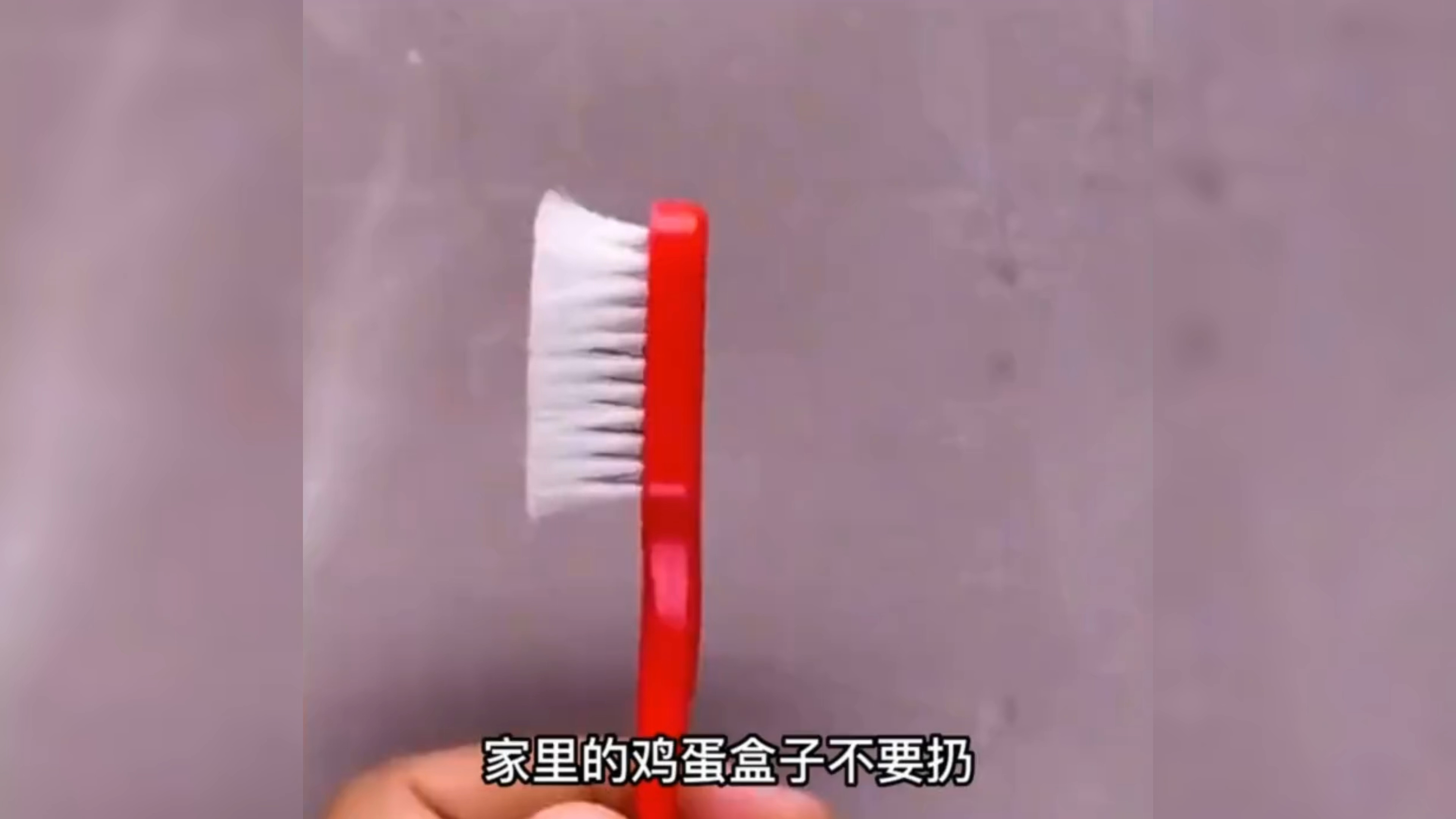 变废为宝,鸡蛋盒的妙用