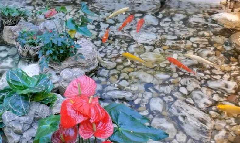 西安赛格室内瀑布,最顶端荷塘里有鸭子游动,参观的人真多