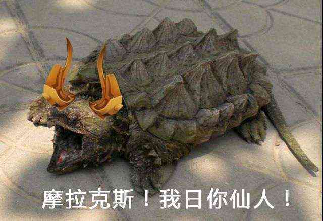 原神:迪卢克专武爆出【沙雕图合集】