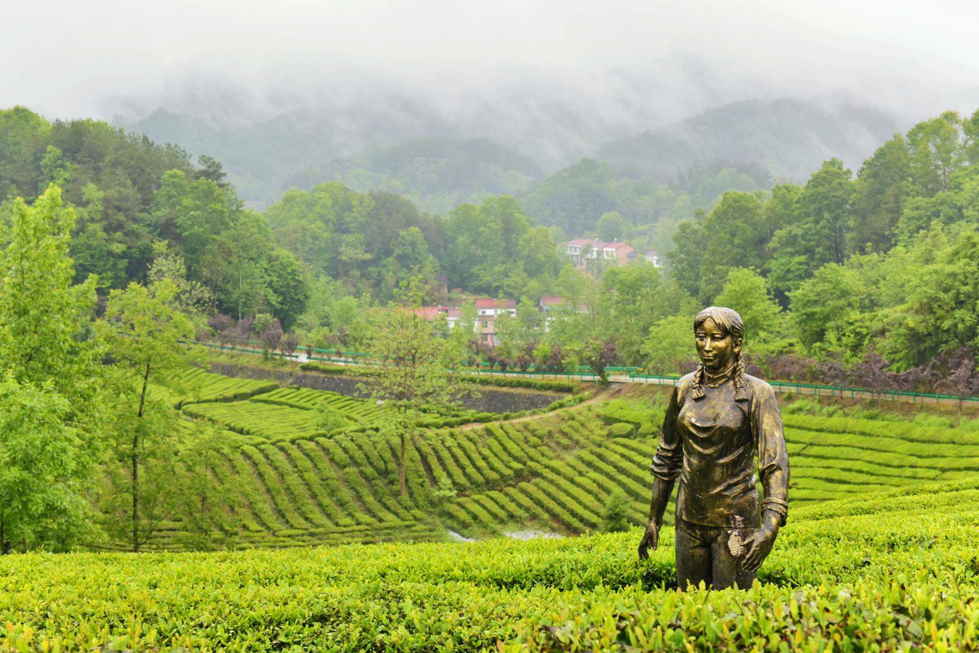 位于陕西省西乡县峡口镇.