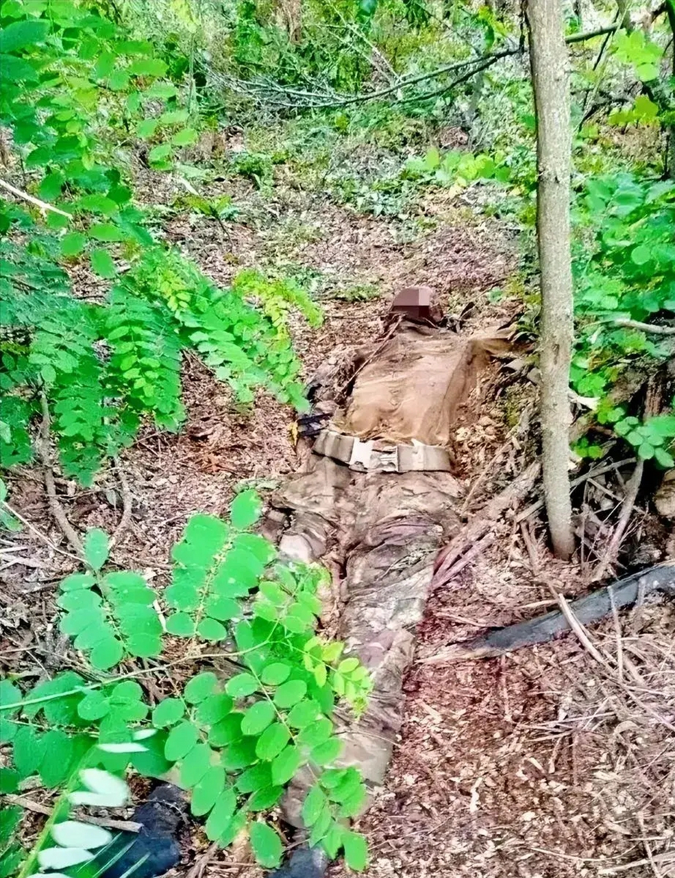 一名阵亡的乌克兰士兵,遗体被遗弃在一片小树林,他的尸体早已和落叶融