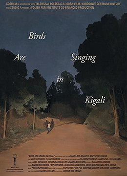 基加利的鸟儿在歌唱彩