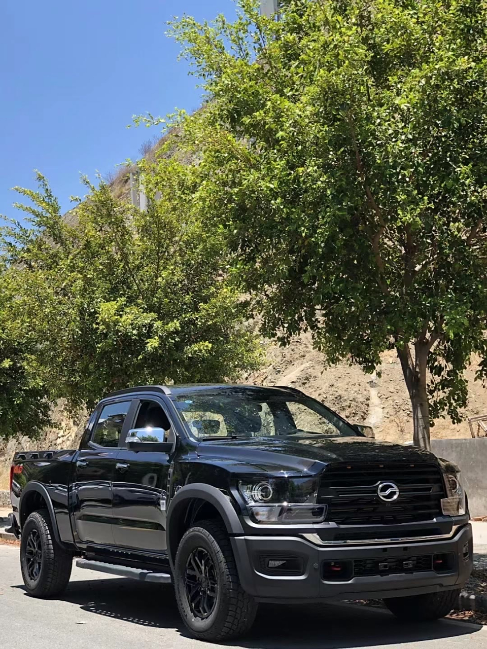 中兴威狮1949#全尺寸皮卡