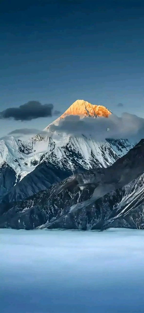 壁纸# #风景# 青葱色