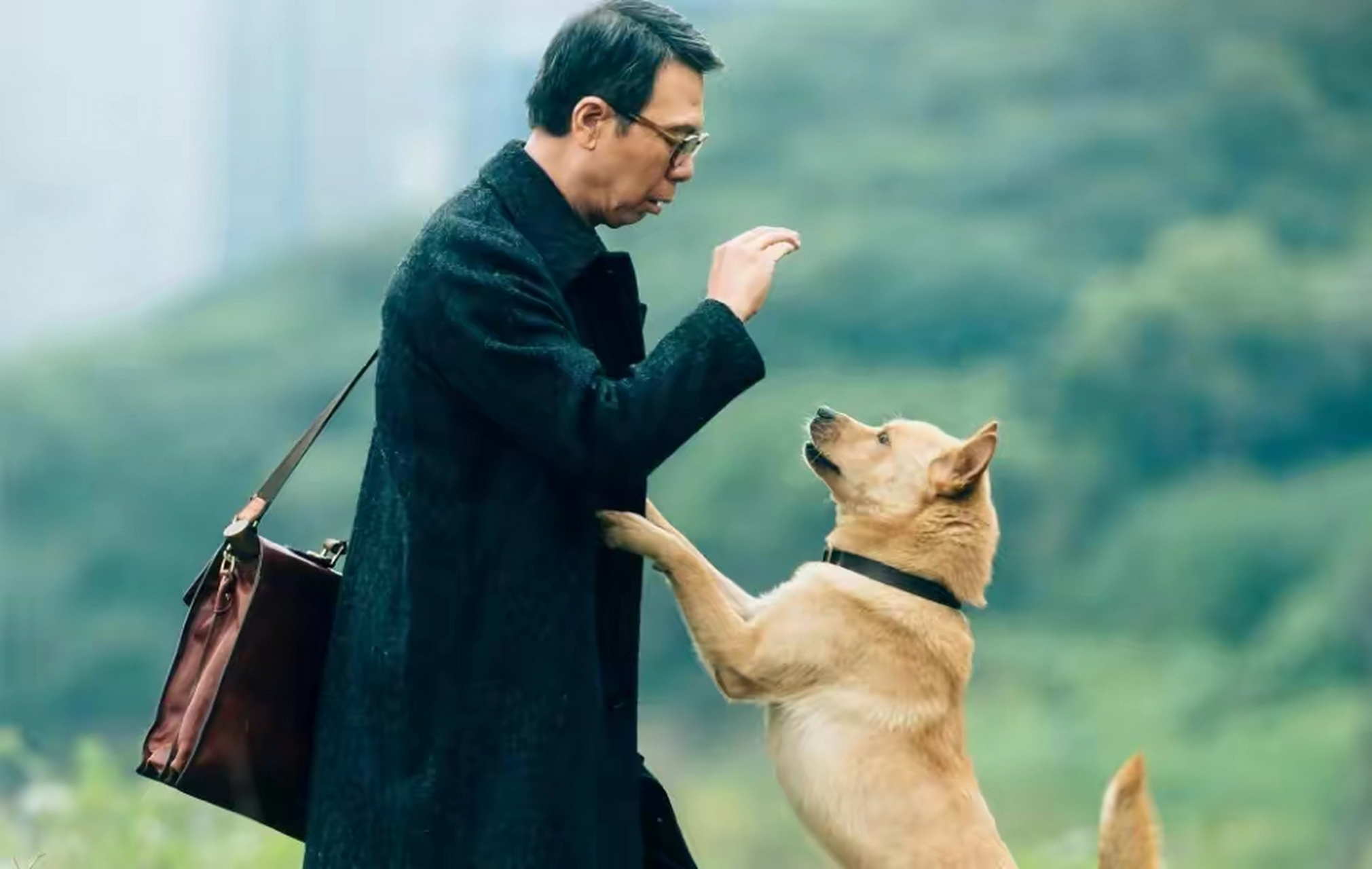 1分高口碑,《忠犬八公》蝉联亚军,冯小刚又一次证明了自己  去年11