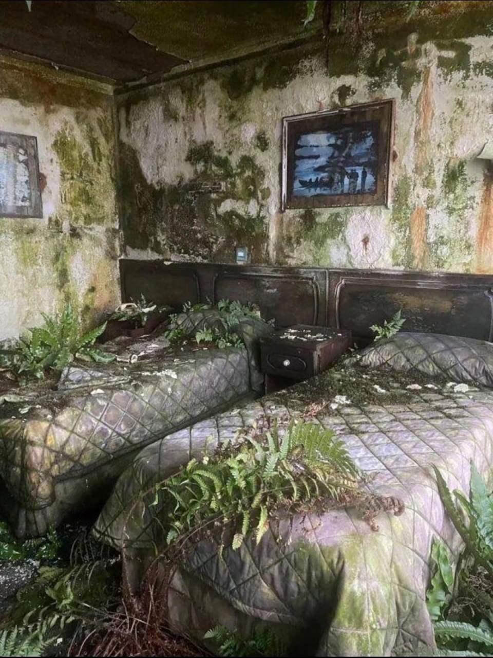 听说过欧美风,叙利亚风,请问这是什么装修风格?