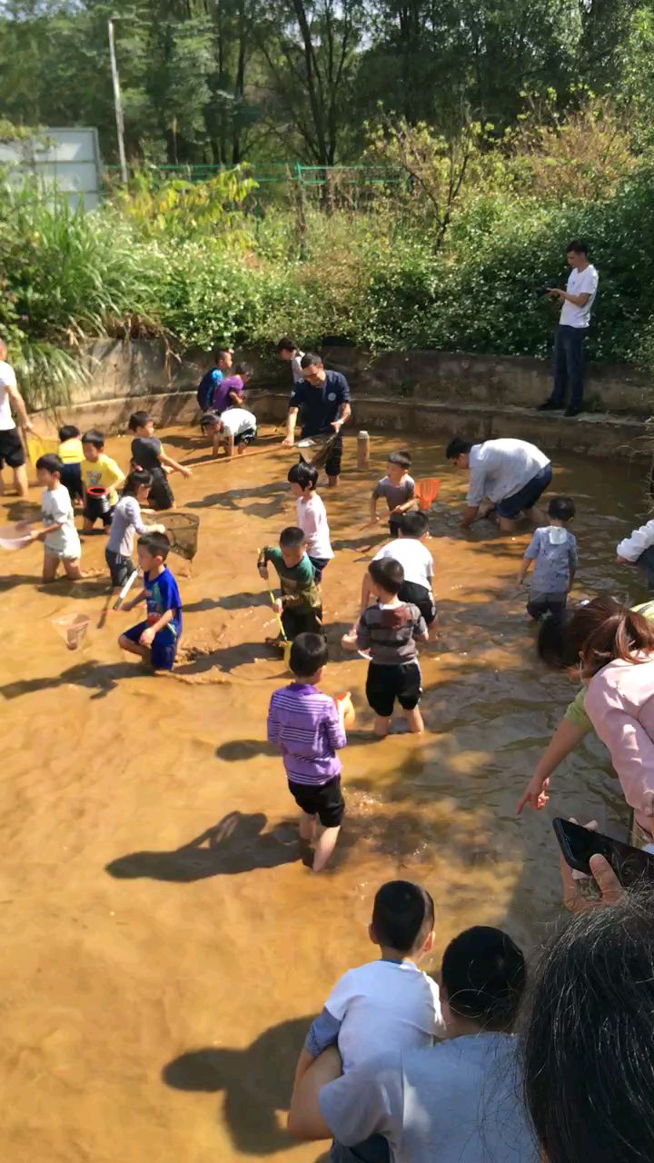 农村小溪捉鱼图片