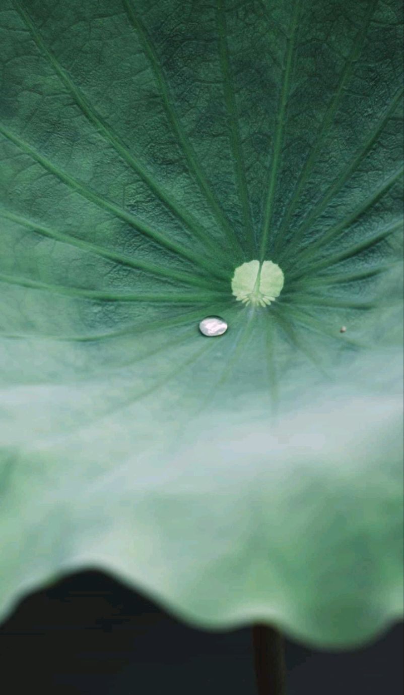 "探索房子阴气重的神秘之谜"