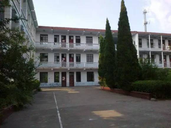 高二就考入少年班的老同学,你在他乡生活得还好吗?