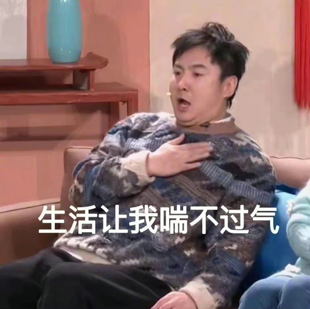 你们要找的沈腾表情包