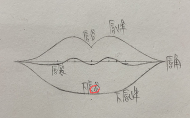 昆明紋繡培訓哪家專業 唇形的認識