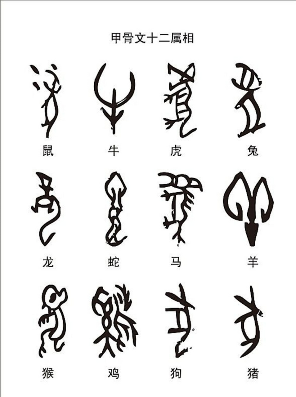 甲骨文十二生肖中猴的造型为什么和其他是相反的呢?