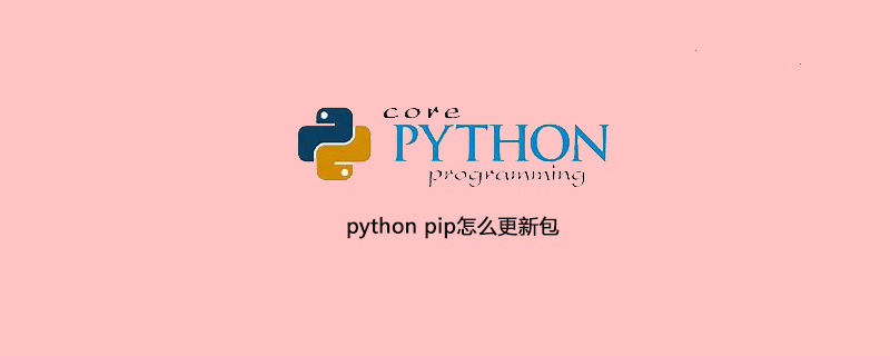 如何使用 python pip 更新软件包